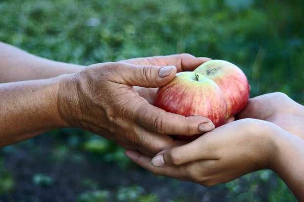 teach tots giving