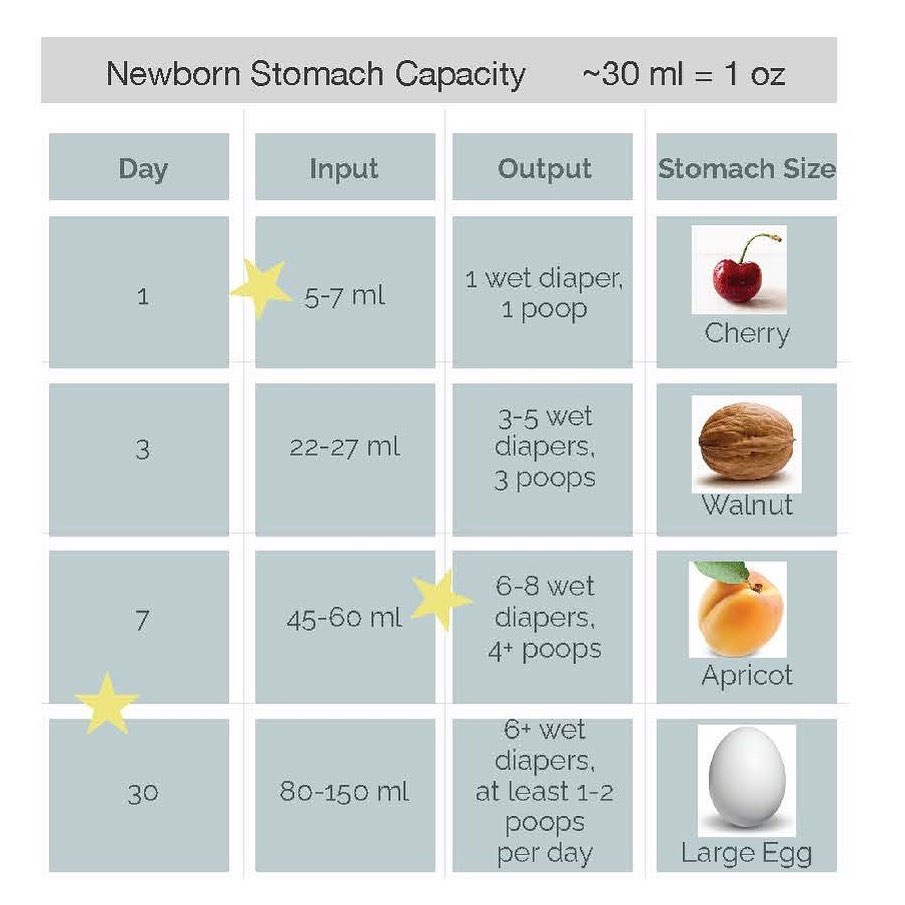 Infant Intake Chart Over The Moon Over The Moon